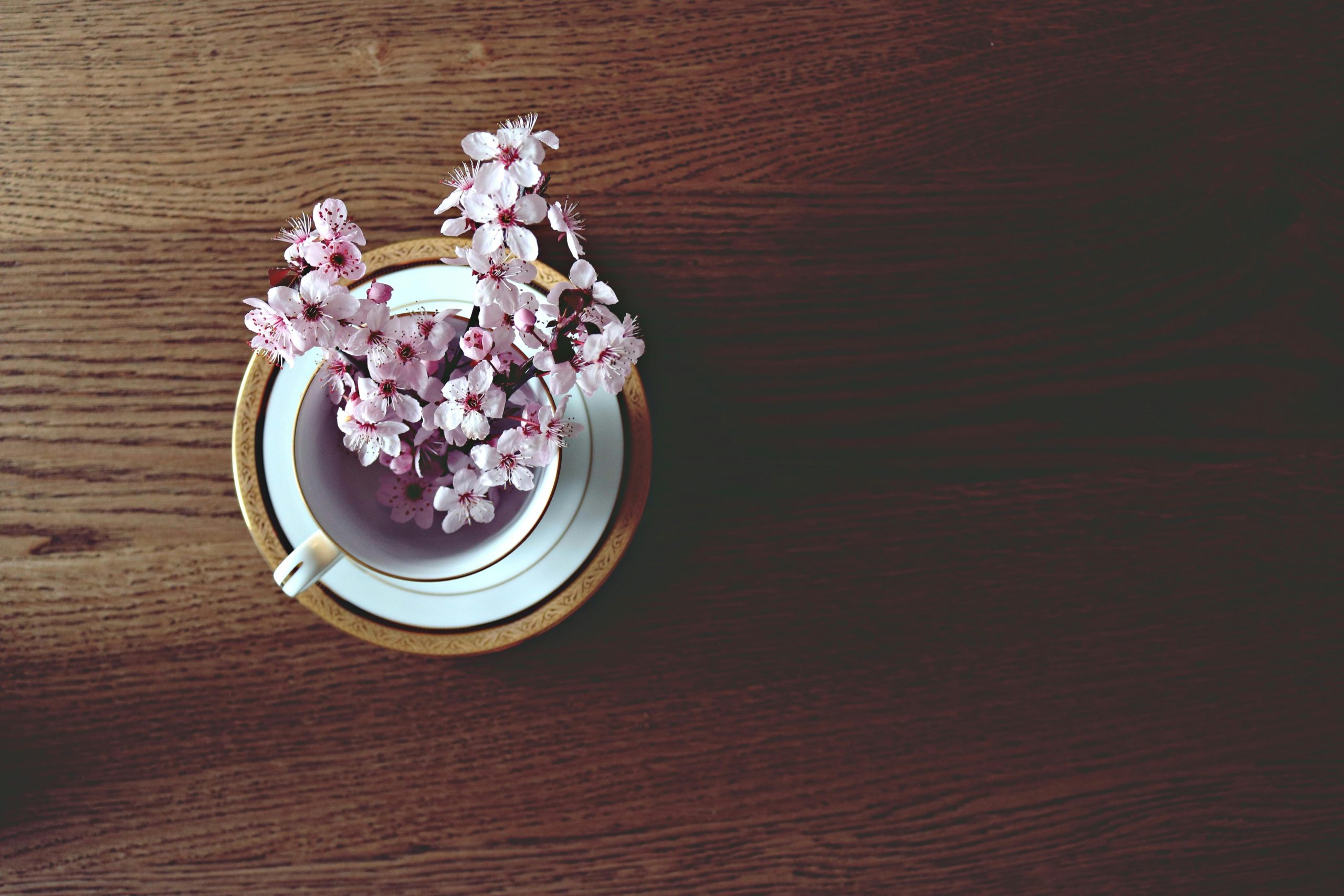 7 Ways JSR Air Conditioning & Refrigeration Hamilton Can Help With Allergies This Spring | JSR