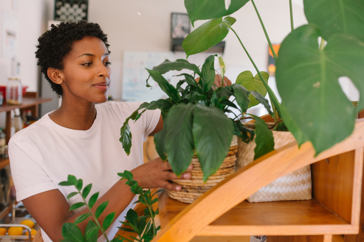 How to Maintain The Ideal Humidity In Your Home