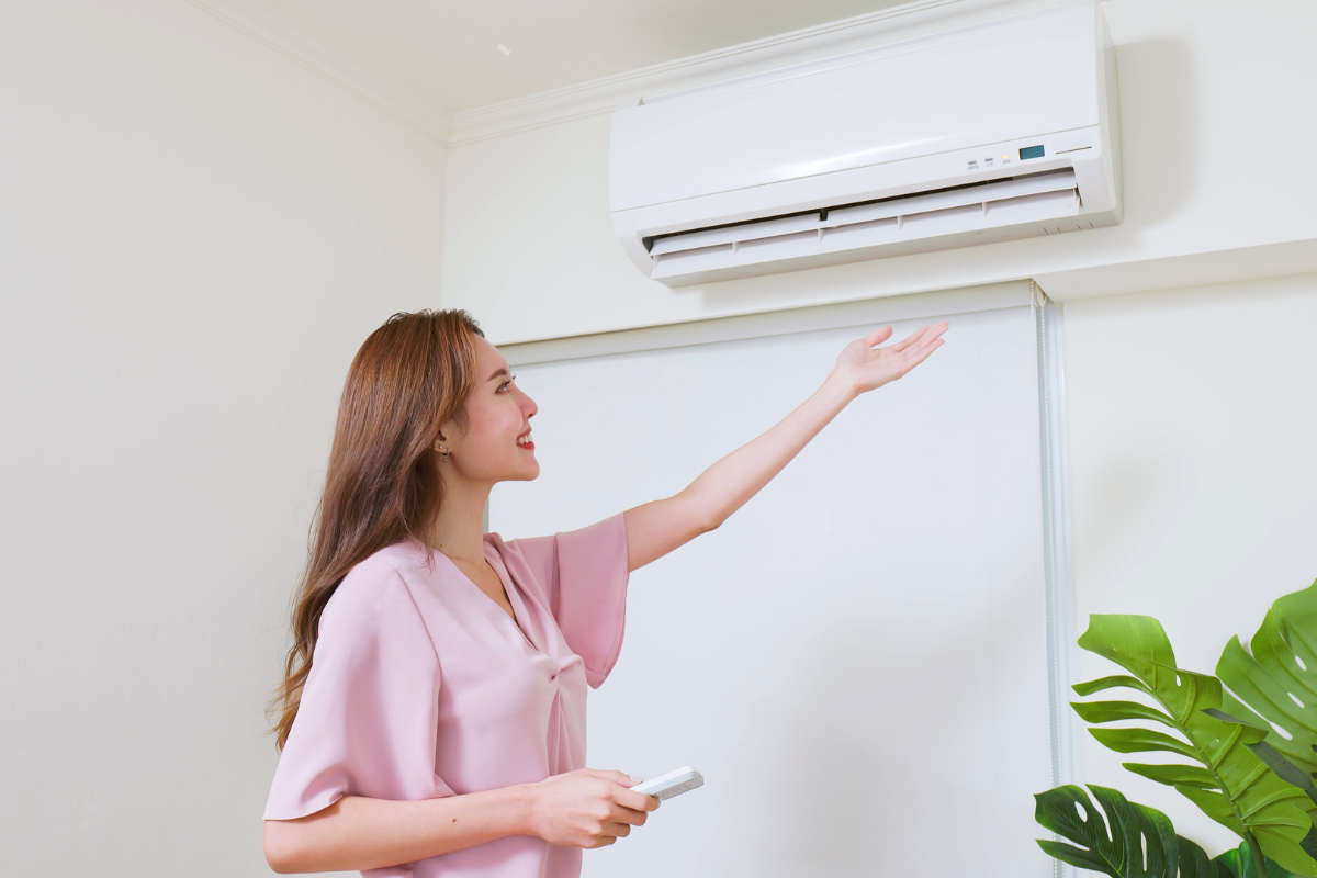 Summer Cooling Trends: How New Zealanders Are Embracing Heat Pumps for Seasonal Comfort