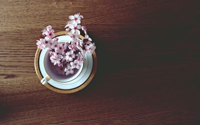 7 Ways JSR Air Conditioning & Refrigeration Hamilton Can Help With Allergies This Spring
